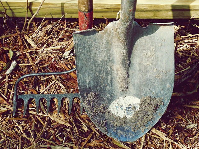 Beste AI Tools voor AI Agents